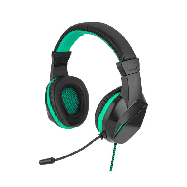 Premium Gaming Headphones